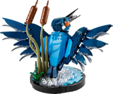 LEGO® Icons Kingfisher Bird 10331