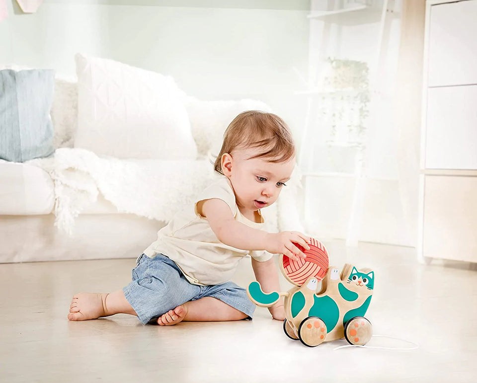 Hape Roll & Rattle Kitten