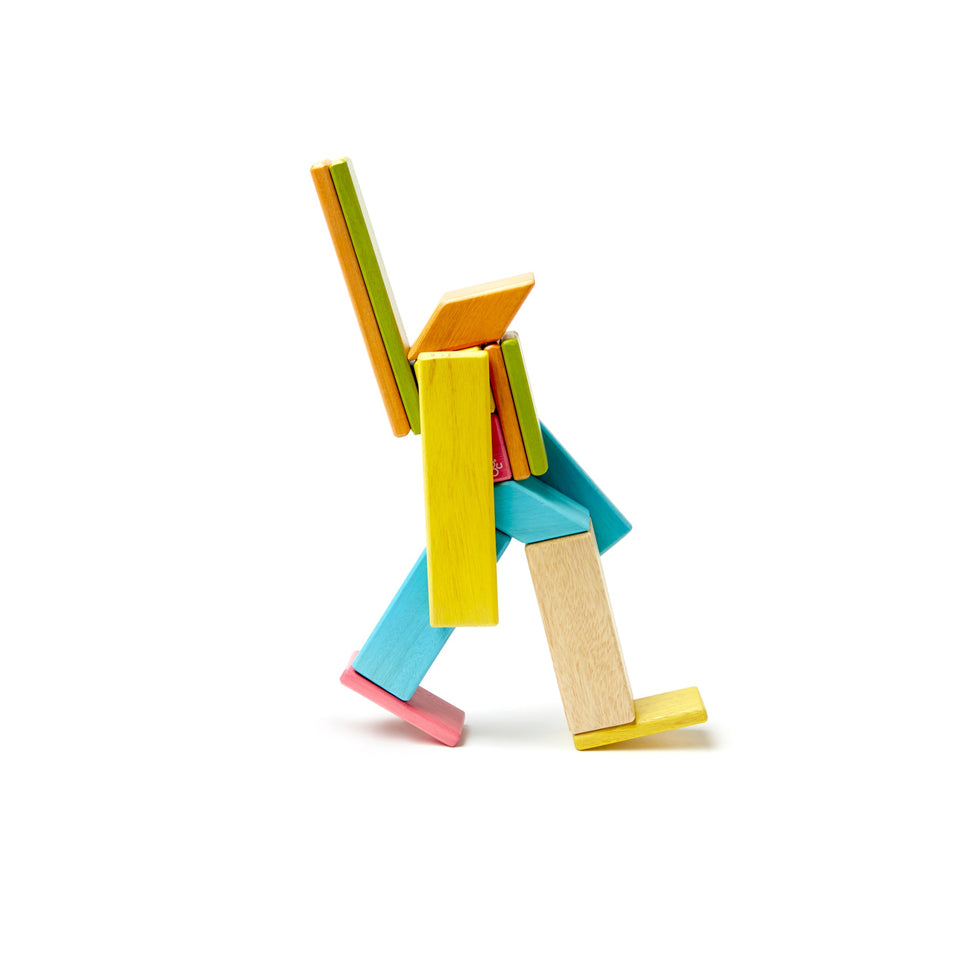 Tegu Magnetic Wooden Blocks. 14-Piece Set. Tints